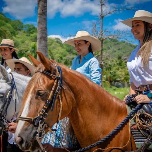 FOTO CABALLO